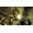 2K BioShock