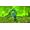 505 Games Portal Knights