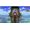 505 Games Terraria