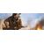 Activision Call of Duty: WWII