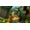 Activision Crash Bandicoot N. Sane Trilogy