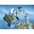 Activision Madagascar: Kartz