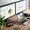Alogic DUTHDPR replicatore di porte e docking station