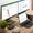 Alogic DUTHDPR replicatore di porte e docking station