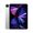Apple iPad Pro 11" (2021) 3ª generazione Ricondizionato