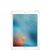 Apple iPad Pro 9.7" (2016)