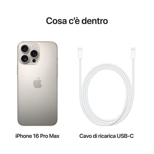 Apple iPhone 16 Pro Max Ricondizionato