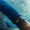 Apple Watch Series 7 (2021) Ricondizionato