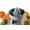 Ariete 417 Breakfast spremiagrumi