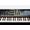 Arturia Sintetizzatore digitale PolyBrute