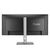 Asus ProArt PA34VCNV