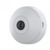 Axis M3067-P