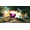 Bandai Namco Naruto Shippuden: Ultimate Ninja Storm 4
