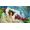 Bandai Namco One Piece: Pirate Warriors 4