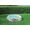 Bestway Piscina 3 Anelli Mickey Clubhouse