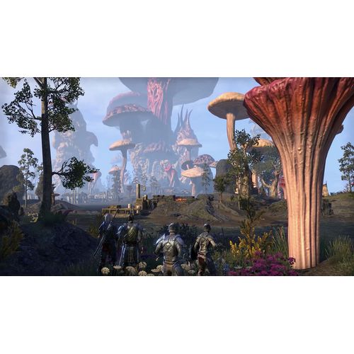 Bethesda The Elder Scrolls Online: Morrowind