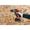Black&Decker Trapano avvitatore BCD003