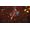 Blizzard Diablo III - Eternal Collection