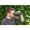 Bresser Primax