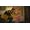Capcom Dead Rising 2