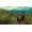 CD Projekt RED The Witcher 3: Wild Hunt - Game of the Year Edition