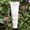 Clarins Crema Esfoliante Delicata