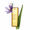 Clarins Tonico Idratante