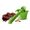 Clementoni Bing Il Giardino