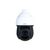 Dahua SD49216DB-HNY