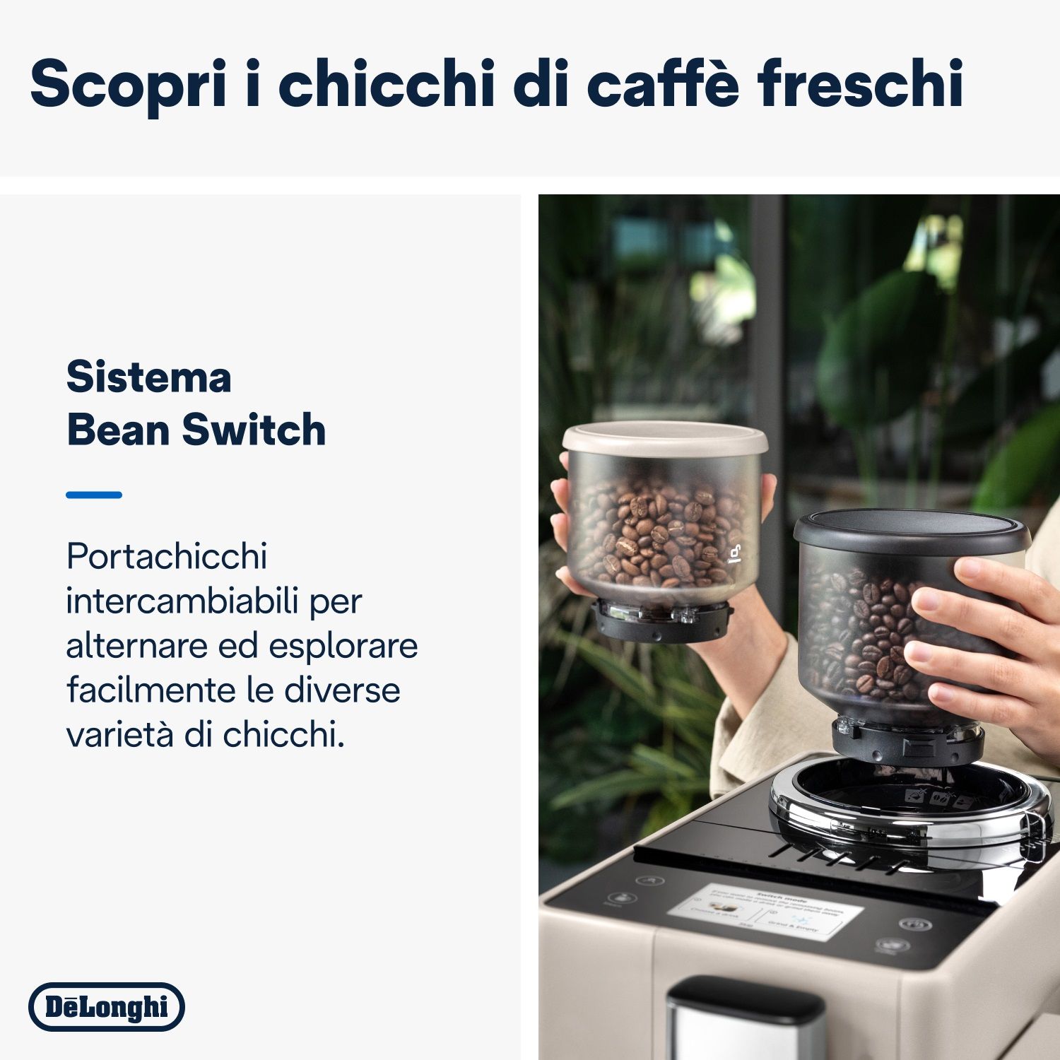 Decalcificante DeLonghi 500 ml Liquido per Macchina da Caffe Espresso  Magnifica s Nespresso : : Alimentari e cura della casa