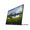 Dell P1424H