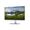Dell S2421HN