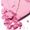 Diego dalla Palma She Said Yes Palette Viso & Occhi