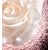 Dior Prestige Le Micro-Caviar de Rose Crema