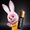 Duracell Plus AA
