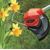 Einhell GC-CT 18/24 Li
