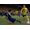Electronic Arts FIFA 21 - Ultimate Edition