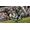 Electronic Arts Madden NFL 21 - Deluxe Edition