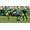 Electronic Arts Madden NFL 25 (2013)