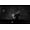 Electronic Arts Syndicate