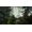 Endnight Games The Forest