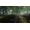 Endnight Games The Forest