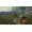 Endnight Games The Forest
