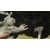 Endnight Games The Forest