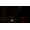 Endnight Games The Forest