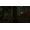 Endnight Games The Forest