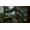 Endnight Games The Forest