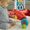 Fisher-Price Primi Passi Interattivo