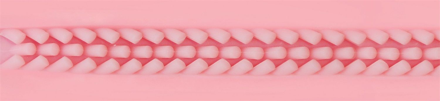 Fleshlight Masturbatore Pink Lady