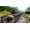 Focus Entertainment Tour de France 2018